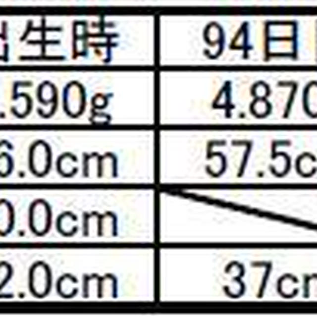 **生後4ヶ月の記録**