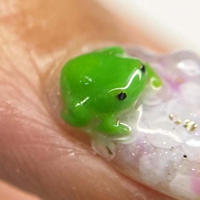 お久しぶりでございます