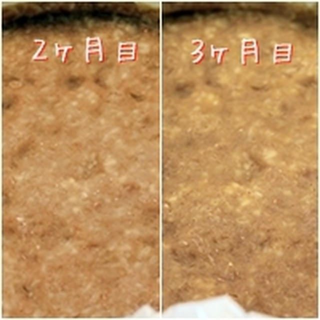 「み」と「そ」の始まり～♪　味噌4ヶ月目チェック。