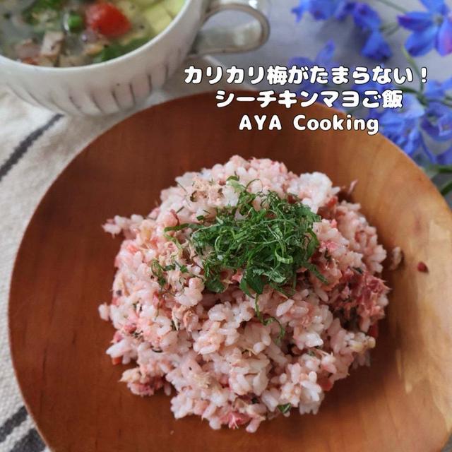 【カリカリ梅レシピ】やってられないよねー色々