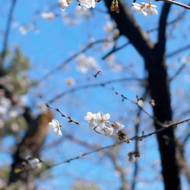 長男のこと（その後）