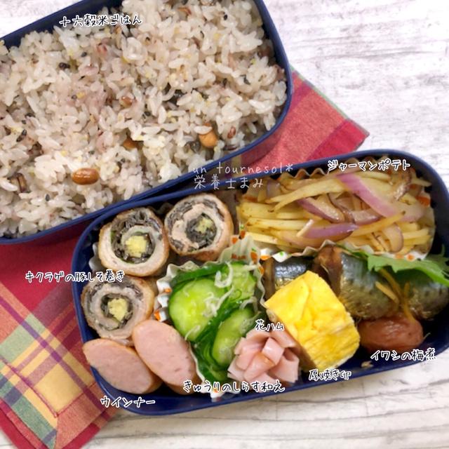 血行促進で肥満予防に☆主人弁当‼︎【キクラゲの豚しそ巻き】