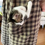 Pocket 仔猫２