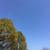 近所の公園へ