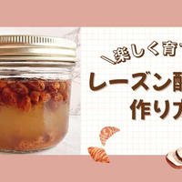 自家製天然酵母の作り方｜初心者でも簡単！レーズン酵母の育て方