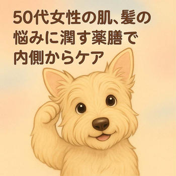 更年期世代50代女性の肌・髪の悩みに潤う薬膳で内側からケア