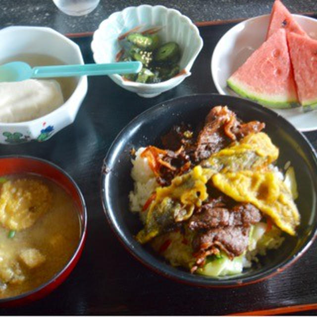 【熊本県合志市】味の屋台村＆湯の屋台村　500円の馬丼と飲泉ができる源泉掛け流し100円の温泉