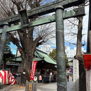 【神社巡り①】湯島天神からの人気カフェ