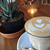 1/15 coffee