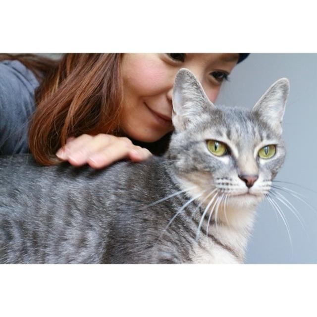 お久しぶり＊うちの猫ｍｉーさん