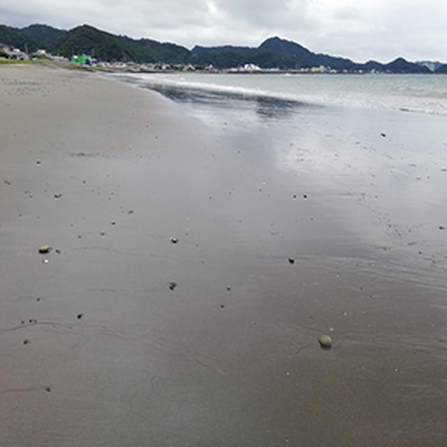 本来なら夏休みシーズンですね……