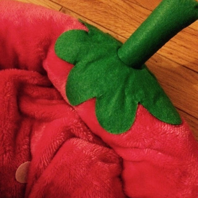 苺ベッド