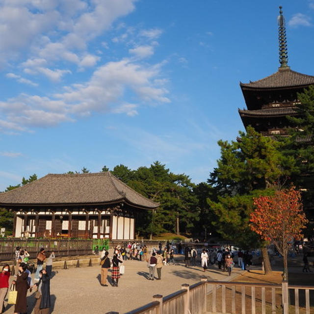 特別公開の国宝を拝見！【＠奈良 興福寺五重塔】