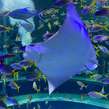 ＊水族館の撮影は難しかった(⁎˃ᴗ˂⁎)