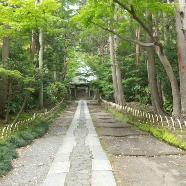 今年は、お施餓鬼の法要が有りません。