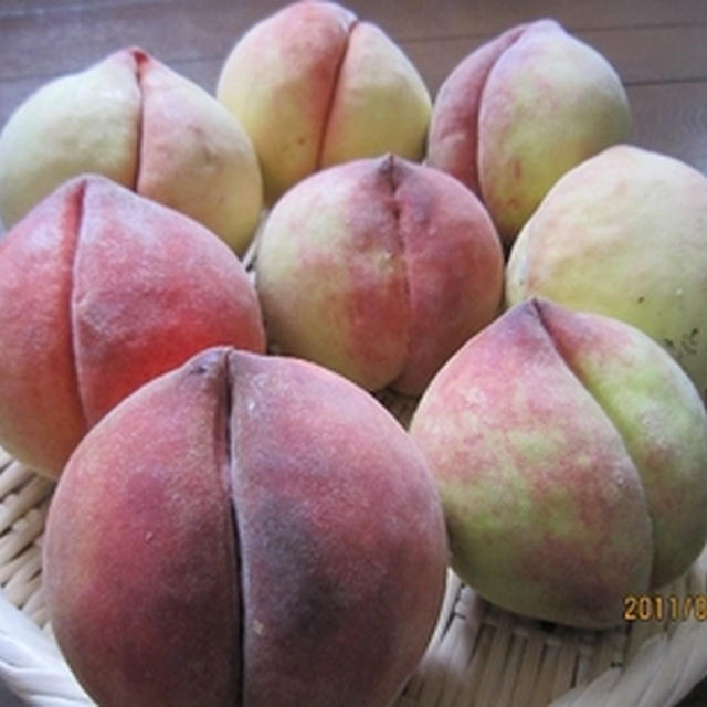 天津桃