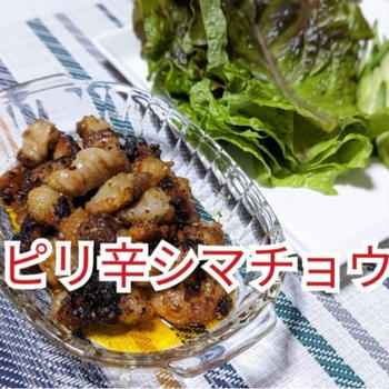 【晩御飯のご提案】ピリ辛シマチョウ動画あり