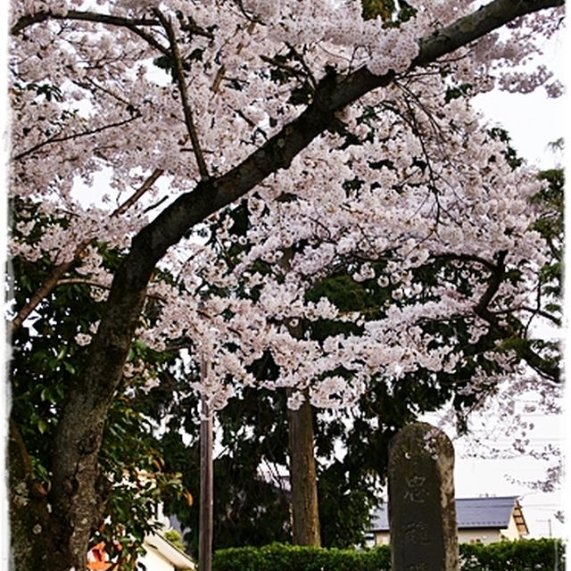 ■あの年以来の竹駒神社へ■