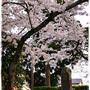 ■あの年以来の竹駒神社へ■