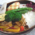 豚肉とごぼうのオイスターソース炒め弁当。イスで眠るにゃんこ