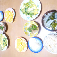 旬の○○で！下半身瘦せが叶う！！～今日は七人の侍の日