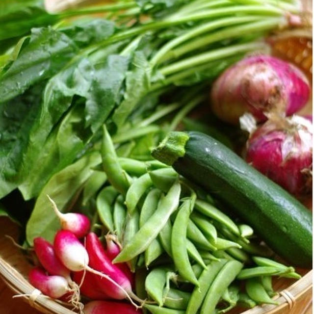 実家の新鮮野菜で♪ズッキーニのポークチャップ。