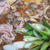 「肉豆腐」