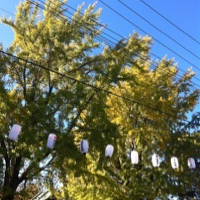 お祭りと金魚すくい
