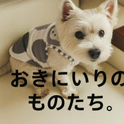 ゆきちのNewお洋服と、ギンガムチェックのかわいいものたち。