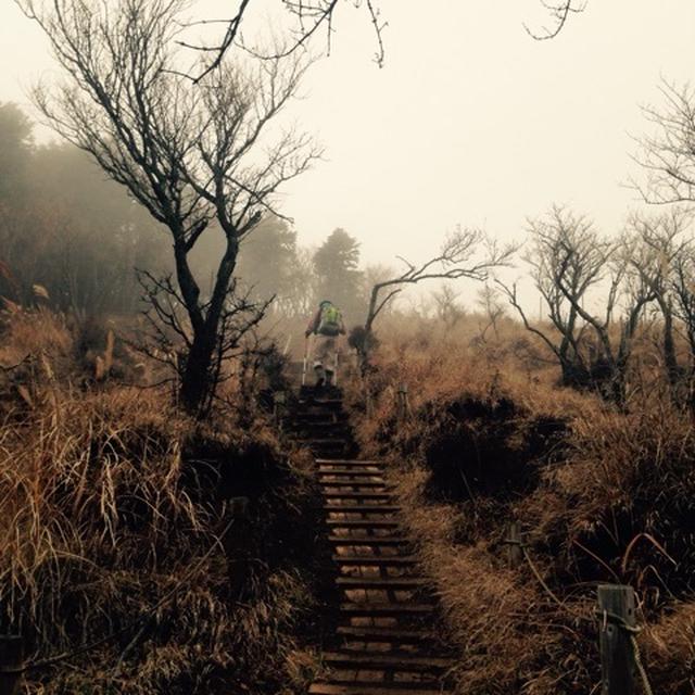 2014年11月山行 丹沢ヤビツ峠～塔ノ岳～大倉