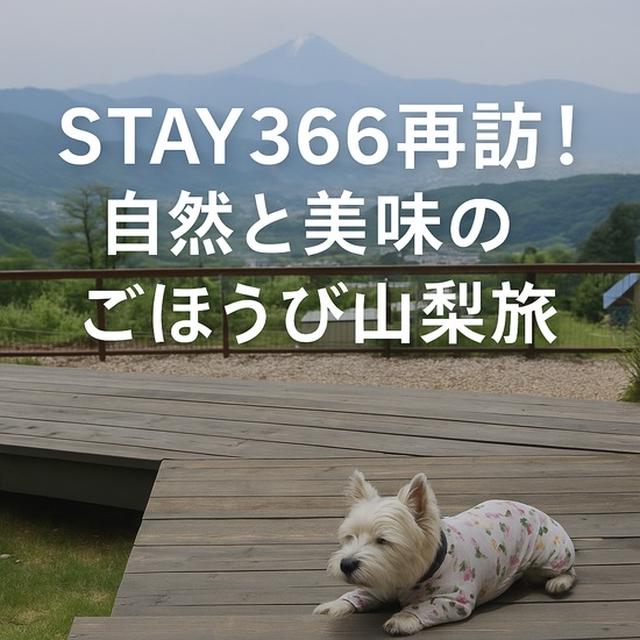  STAY366再訪！自然と美味のごほうび山梨旅