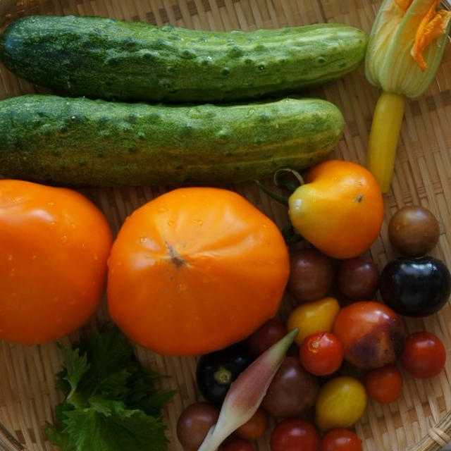 紫蘇と茗荷風味の夏野菜サラダ