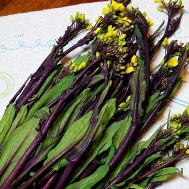 ３月　その８　紅苔菜と新じゃがの甘辛ぽちっとバター