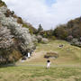 布引ハーブ園へお花見に
