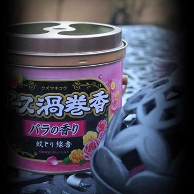 お庭にお水まき・・・蟬君に出会う♪