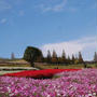 淡路島花さじき#最近撮った写真は