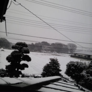 ＊雪＊