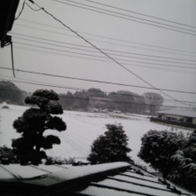 ＊雪＊
