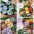【お弁当】8月３日～８月５日のお弁当日記。帽子と三つ編み。