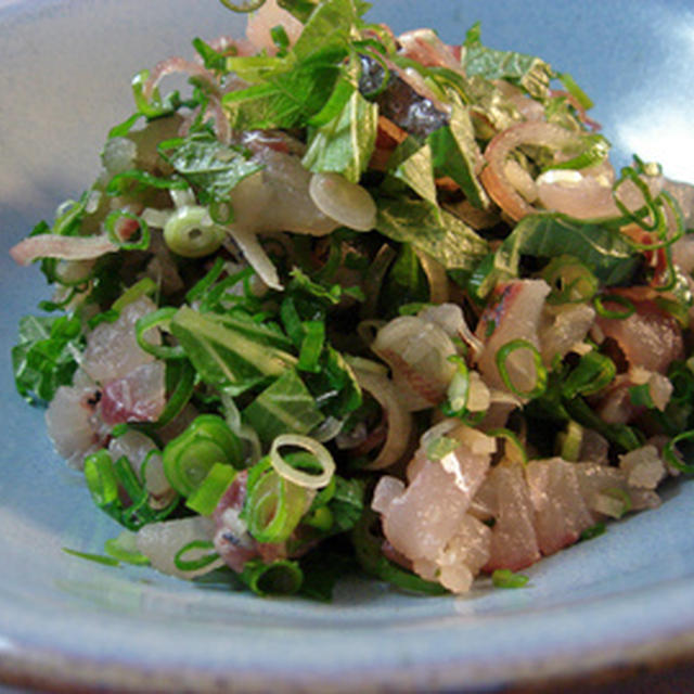 釣り鯵のたたき