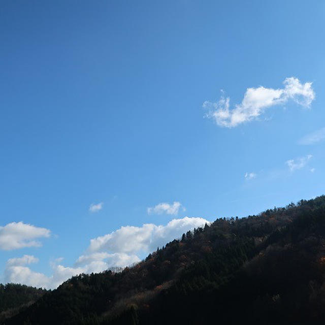冬の風景。