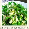 白菜と水菜のサラダ＊柚子胡椒ドレッシング by YUKARIさん