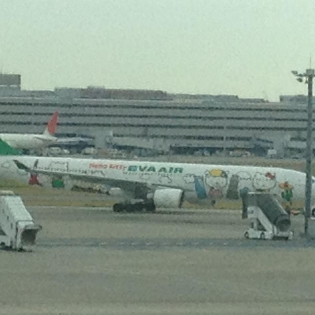乗ってみたかった★キティちゃんの飛行機