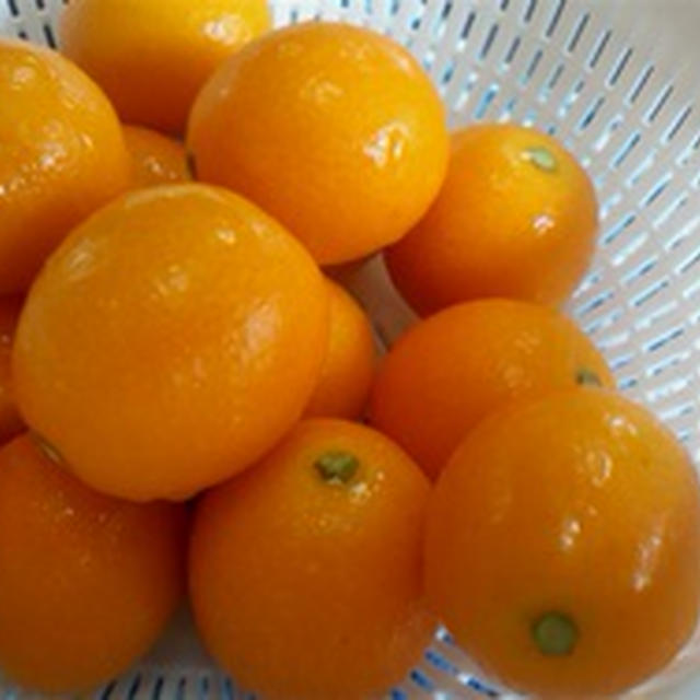 金柑のシロップ煮。