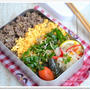 盛るだけ10分で簡単そぼろ丼べんとう