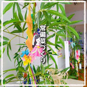 夏野菜で常備菜づくり