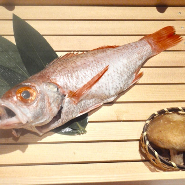 のどぐろと焼酎好きな私にとって、ツボな店！東銀座にある、のどぐろ中俣　はなれへ行ってきました