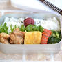 塩からあげのお弁当