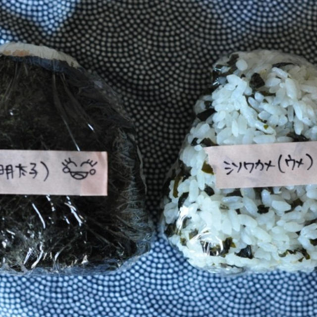 のりおにぎりとシソワカメおにぎり弁当。