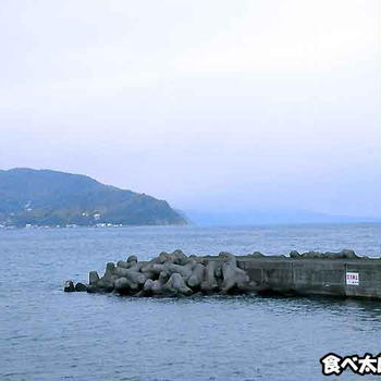 伊東温泉で海鮮グルメの夕食の量が半端ない宿
